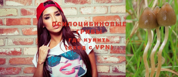гашик Волоколамск