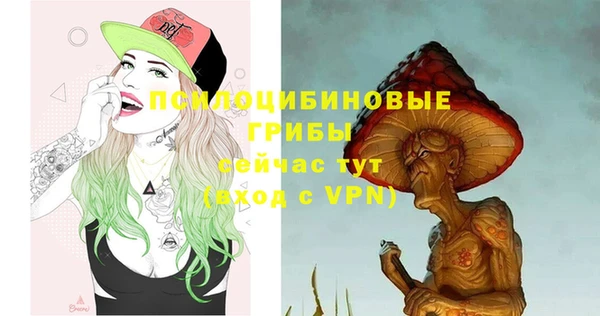 ПСИЛОЦИБИНОВЫЕ ГРИБЫ Волосово