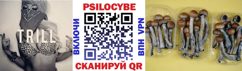 что такое наркотик  Пушкино  Псилоцибиновые грибы Magic Shrooms 